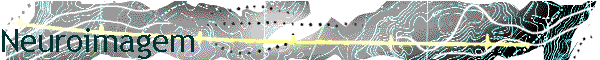 Neuroimagem