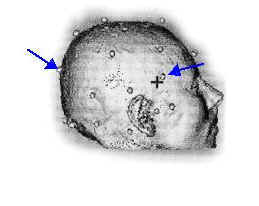 wpe8.jpg (5985 bytes)