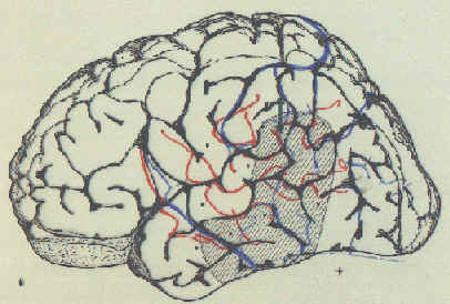 wpe50.jpg (18948 bytes)