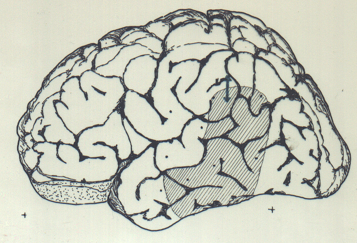 fig8.gif (410420 bytes)