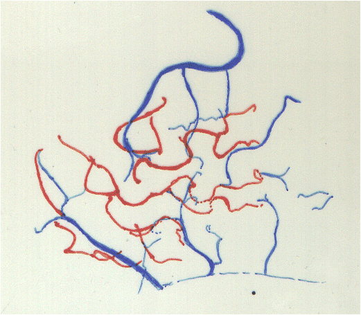 fig9.gif (275163 bytes)