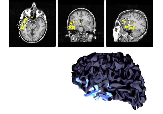 wpe7.jpg (28772 bytes)